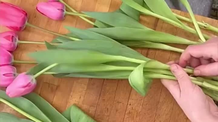 Хитрости для тюльпанов