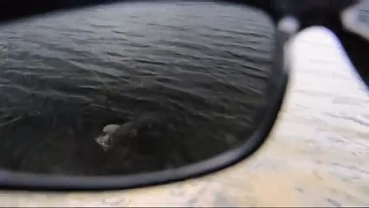 Взгляд на щуку через поляризационные очки [360]