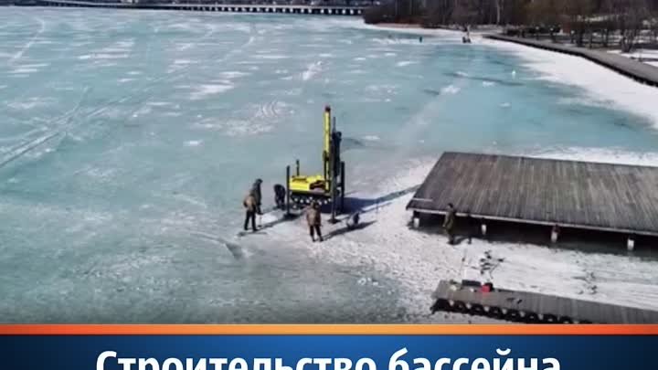 Каток дельфин воронеж фото Каток дельфин воронеж фото