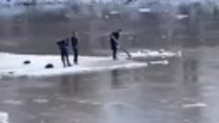 Подростки застряли на дрейфующей льдине