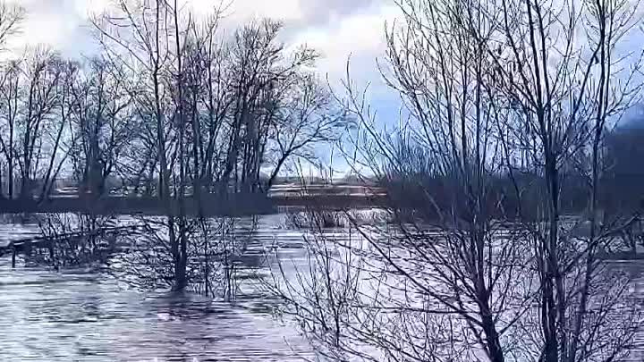 Разлив реки фото Разлив реки фото