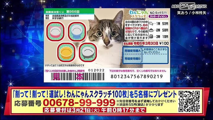 なるみ岡村の過ぎるＴＶ 動画  不倫ドケチ…耐え続ける芸人妻の会 |  2023年3月13日