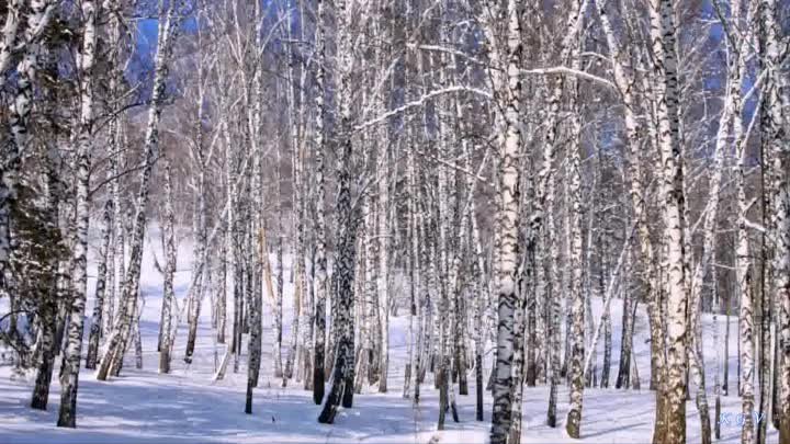 Встреча зимы с весною