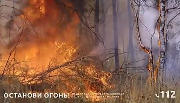 Остановись!Не поджигай сухую траву (1)