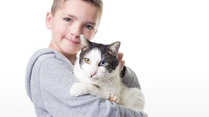 Как выглядит девочка кошка и мальчик кошка Как выглядит девочка кошка и мальчик кошка