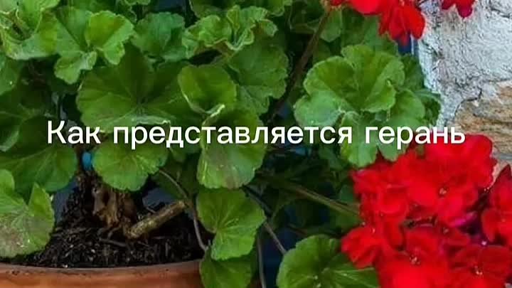 Реальность и наши представления