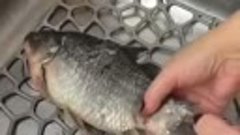 Чистим рыбу