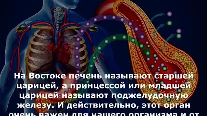 В эти 10 продуктов, влюблена поджелудочная железа! Панкреатит