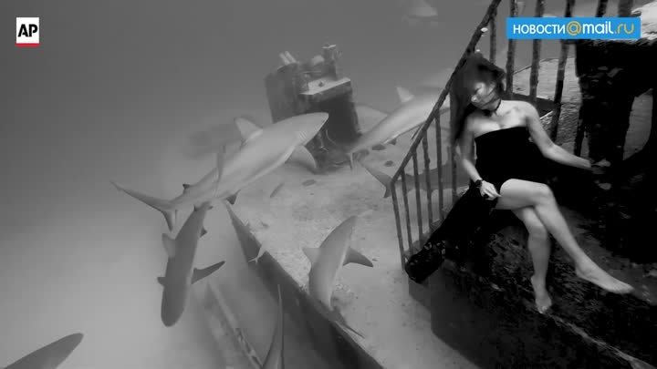 Фотосессия в окружении стаи акул
