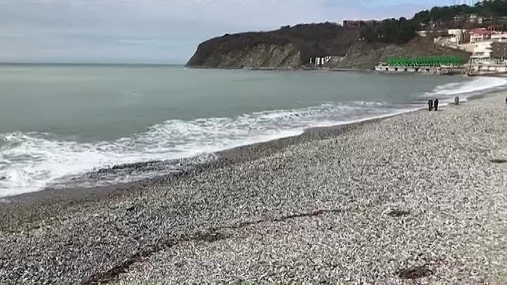 Море, пляж п.Ольгинка (Туапсе) 28 февраля 2018г.