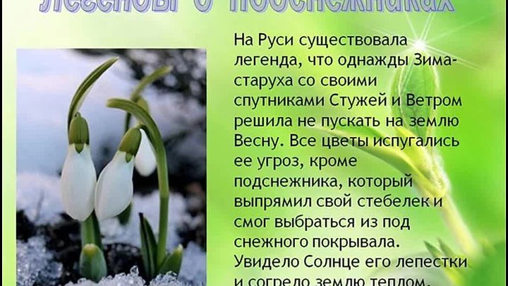 Сказка про весну слушать. Легенда о подснежнике. Подснежник для детей. Легенды о подснежнике для дошкольников. Легенда о весне.