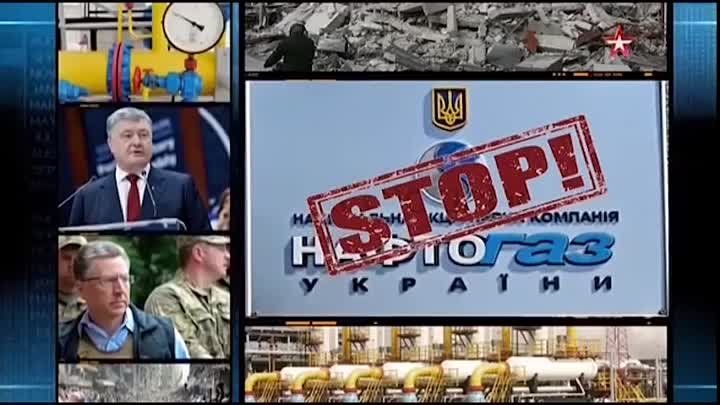 Николай Стариков в эфире канала "Звезда" о политике Запада.