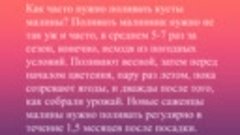 А вы знаете об этих правилах повышения урожая малины