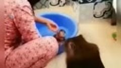 Мама присматривает за тем, как моют её малыша