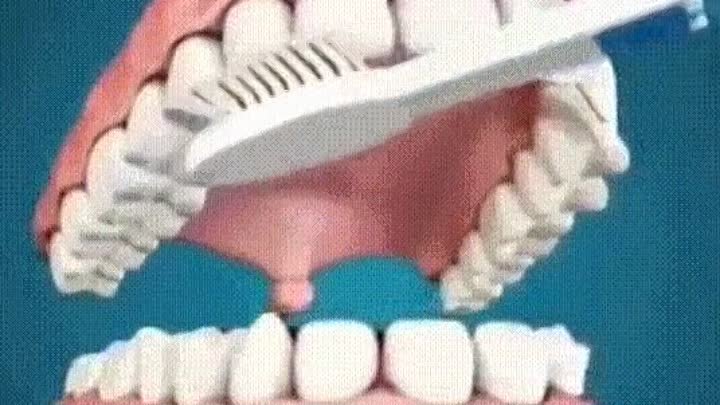 чистим зубы правильно