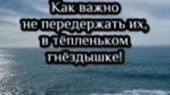 Про воспитание детей и про орлов. 