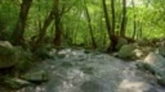 4K Relaxing Nature Sounds - Short Video Clips of Nature