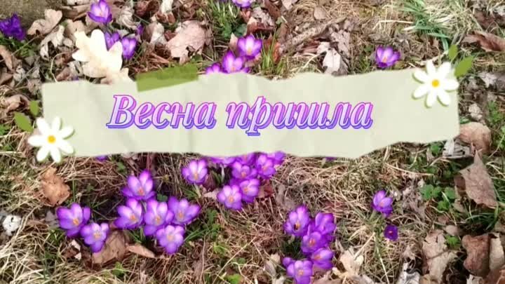 Весны вам радостной и нежной💐Татьяна Восковец 