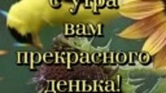 доброе утро всем 