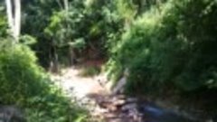 Stream near plot going to Mayo river