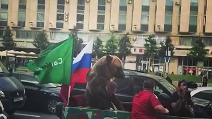 Медведь тусит и ругается жестами. Олимпиада 2018