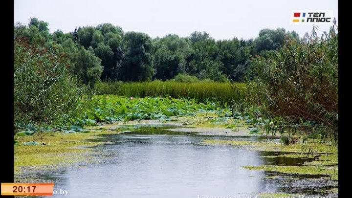 Каспийская Неделя Моды, 2 день