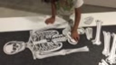 Human Body Anatomy  - Floor Puzzle for Early Learners