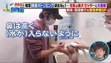 嗚呼!!みんなの動物園 230415 動画 相葉トリミング・アシスタントに風間俊介が | 2023年4月15日