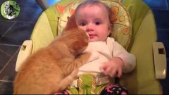 Кошки и дети смешное видео. Cats and children funny videos