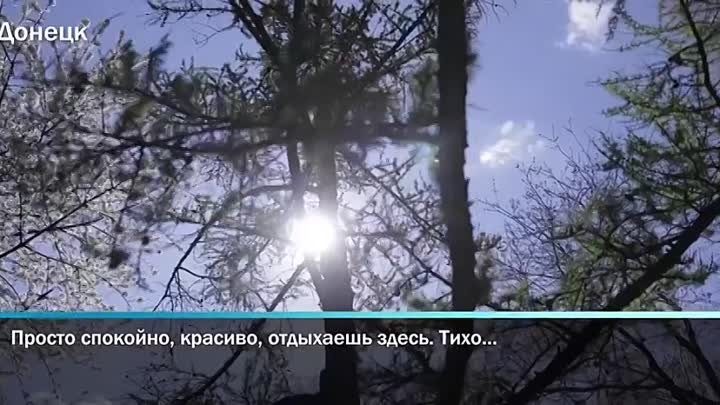 Видео от Новости России