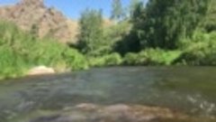 VID-20180627-WA0170.mp4