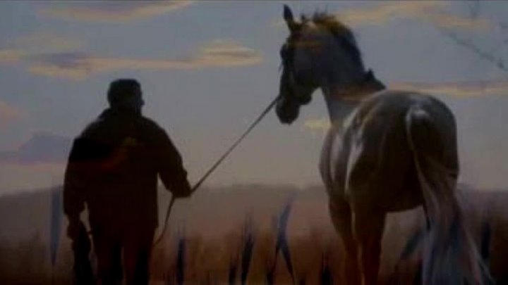 Выйду в поле с конем фото Выйду в поле с конем фото