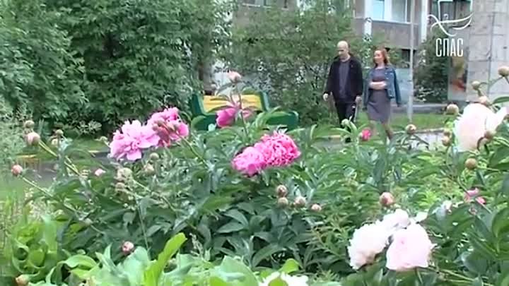 VID_20180630_194830.mp4