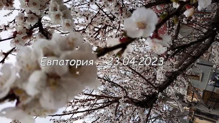 Евпатория _ 23.04.2023