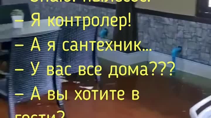 Анекдот дня. Как не оплачивать в электричке?