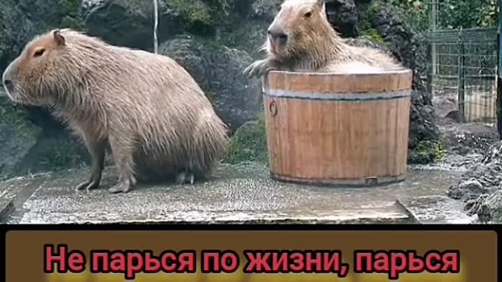 Чистота залог здоровья.