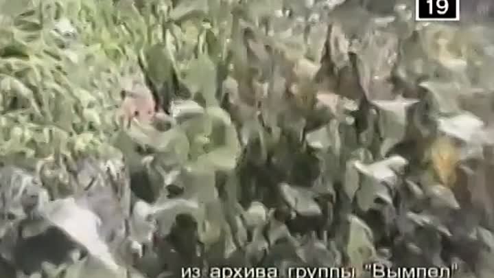 Спецназ КГБ СССР Легенды Вымпела