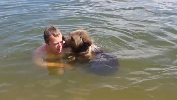 Первое купание с медвежонком Мансуром