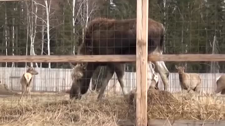 Тулунский район. ВПЕРВЫЕ! Туристический маршрут Тулунский сказ