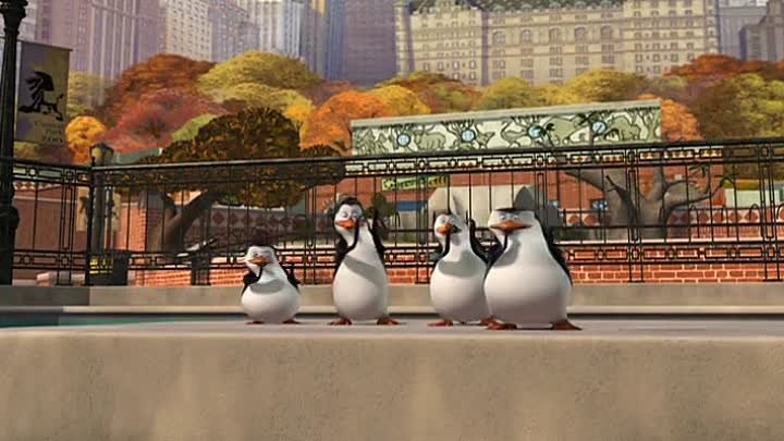 Пингвины ул ленина 16 фото Пингвины ул ленина 16 фото