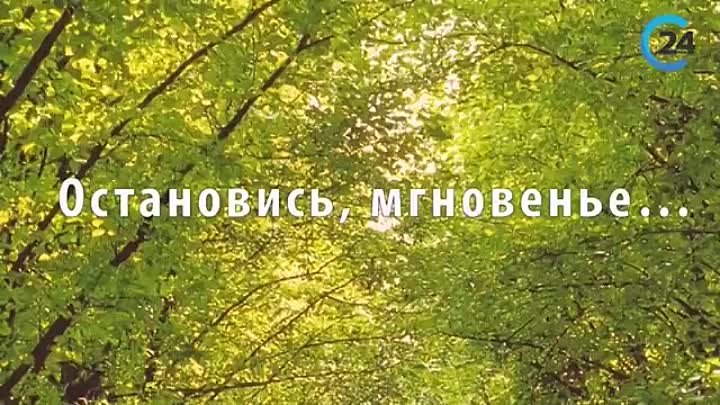 Дмитрий Певцов читает стихотворение Музе А.А. Тарковского