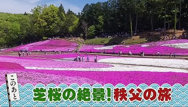 なりゆき街道旅 230430 動画 ＧＷに行きたい秩父でレジャー満喫！ | 2023年4月30日