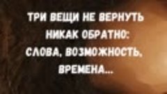 Три вещи не вернуть никак обратно: Слова, возможность, време...