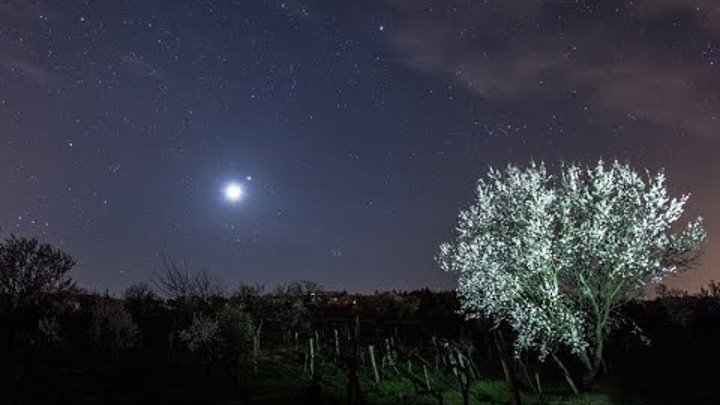 Майская ночь фото Майская ночь фото