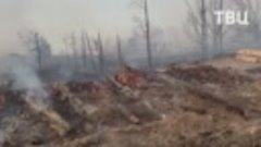 Крупный пожар в Свердловской области удалось локализовать