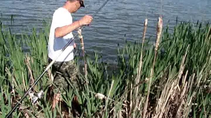 Рыбалка в курске