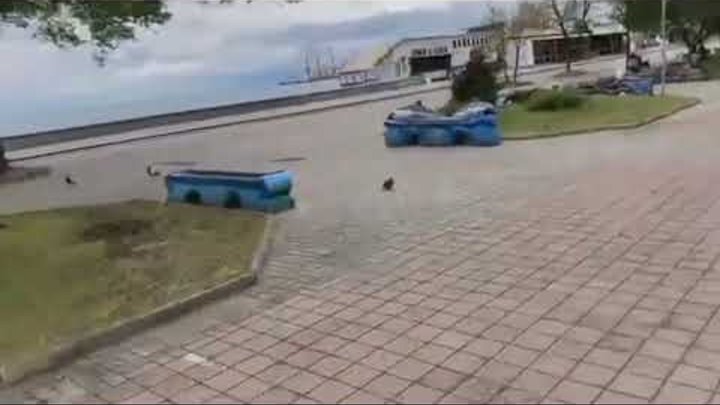 Бердянск сегодня фото Бердянск сегодня фото