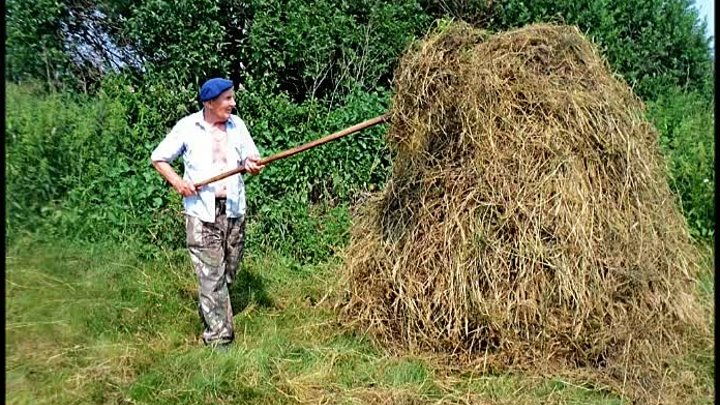 Богатство Александра Васильевича .