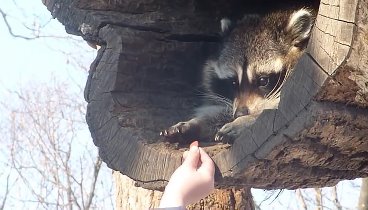 Можно смотреть бесконечно! Милота зашкаливает )))))