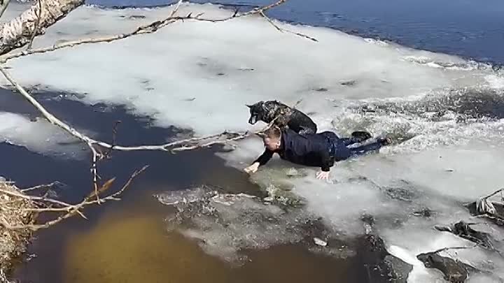 Сотрудник Быстринского ГОКа бросился в ледяную реку чтобы спасти собаку